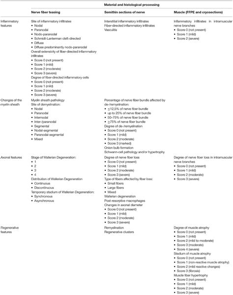 Biopsy Characteristics, Subtypes, and Prognostic Features in.